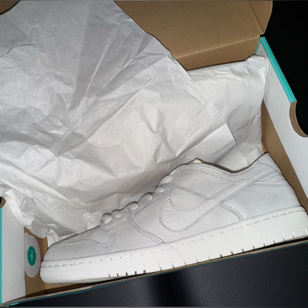 *NEVER WORN** Nike SB Dunk Low Pro Decon